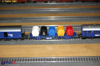 mucis_tk_20070112_0006