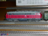 MUCIS_JB_20081016_0017.JPG