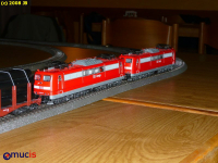 MUCIS_JB_20081114_0003.JPG