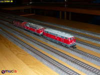MUCIS_JB_20081114_0008.JPG