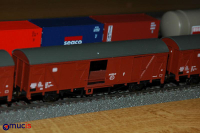 MUCIS_JB_20100108_0012.JPG