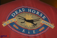 Totes Pferd - komm steig ab