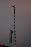 Werdenfels - wann kommst Du wieder?