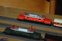 Reptilien bei der Arbeit