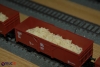 DG Reis aus Japan