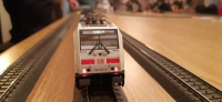 bacf48fd-6ec0-4a1b-86d9-963ed8e4e737.JPG